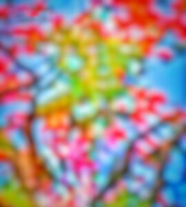 New CB Background Blur CB Background HD Download