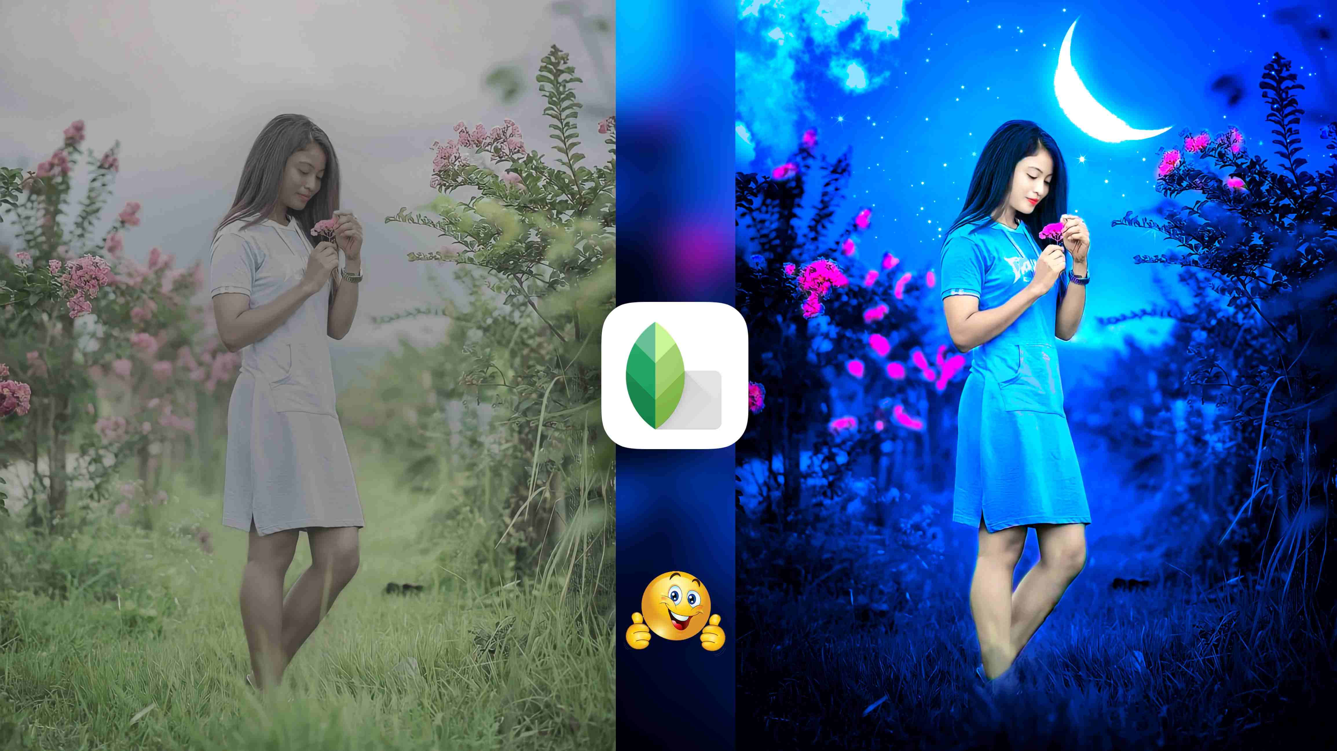 Snapseed New Realistic Background Colour Change Tricks