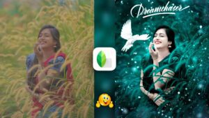 Snapseed Green And Bird Effect Photo Editing Tutorial | Snapseed Background Colour Change Tricks