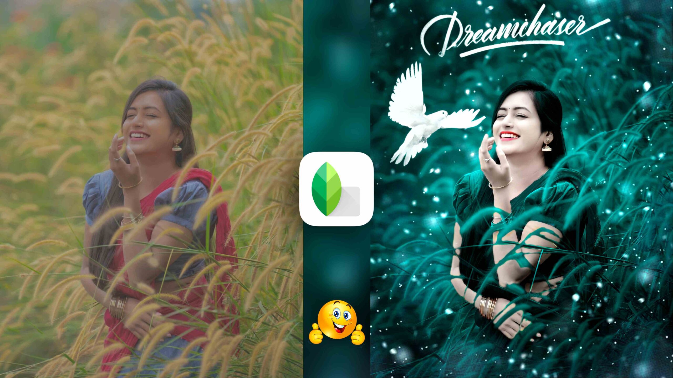 Snapseed Green And Bird Effect Photo Editing Tutorial