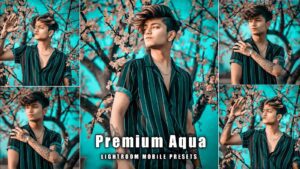 Aqua and Brown Preset Download Free