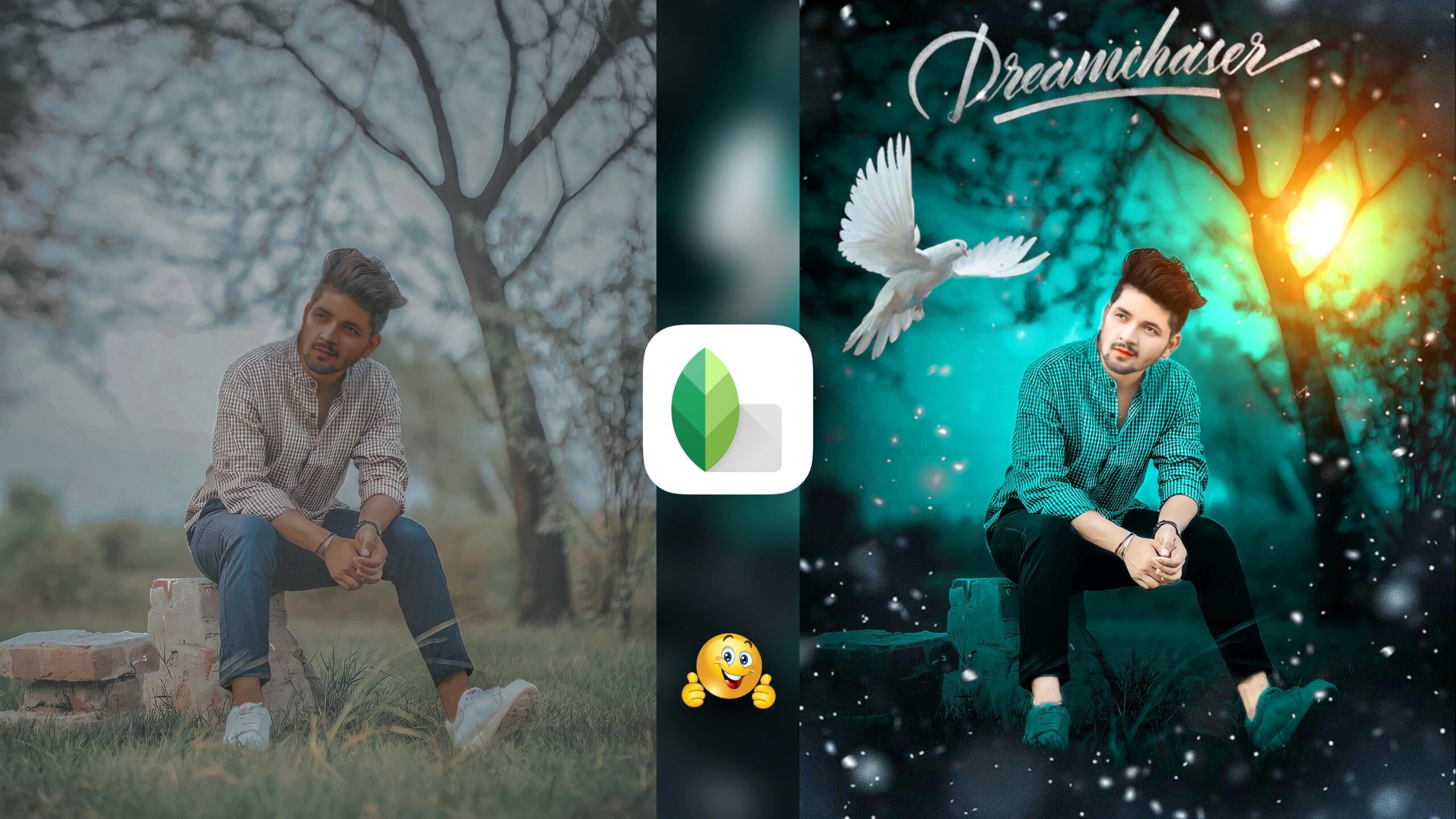 Snapseed Green And Bird Effect Photo Editing Tutorial