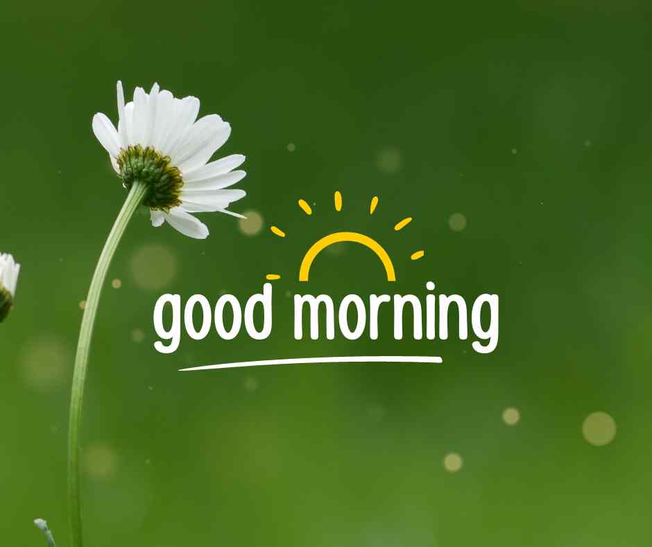 Good Morning Nature Images HD
