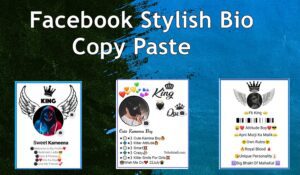 Facebook Stylish Bio Text | Facebook Stylish Bio copy and paste