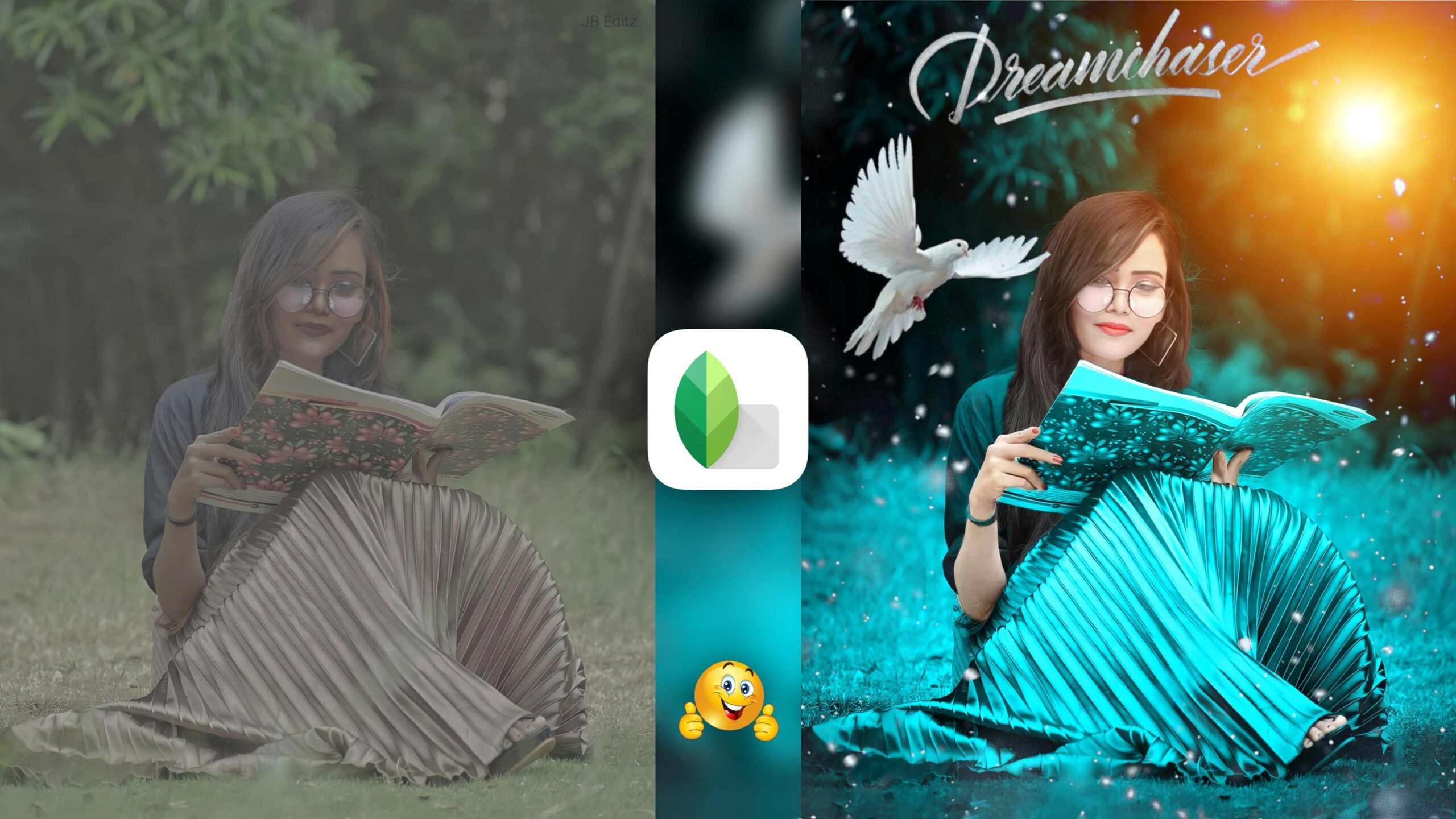 Snapseed Green And Bird Effect Photo Editing Tutorial | Snapseed Background Colour Change Tricks - MUNAWAR EDITS