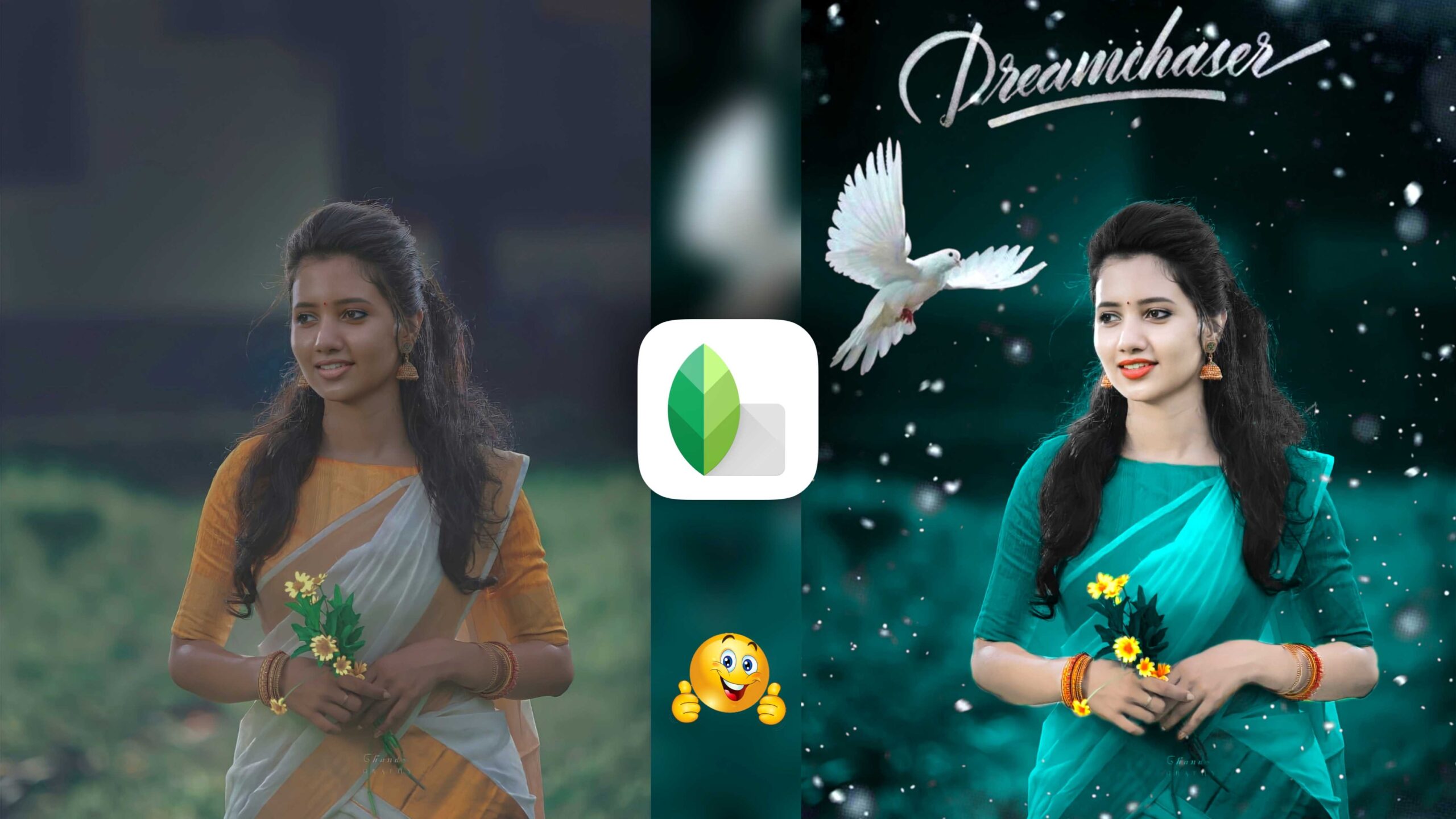 Snapseed Green And Bird Effect Photo Editing Tutorial