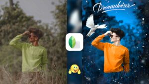 Snapseed Blue And Bird Effect Photo Editing Tricks