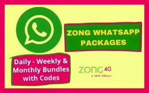 Zong WhatsApp Packages 2023