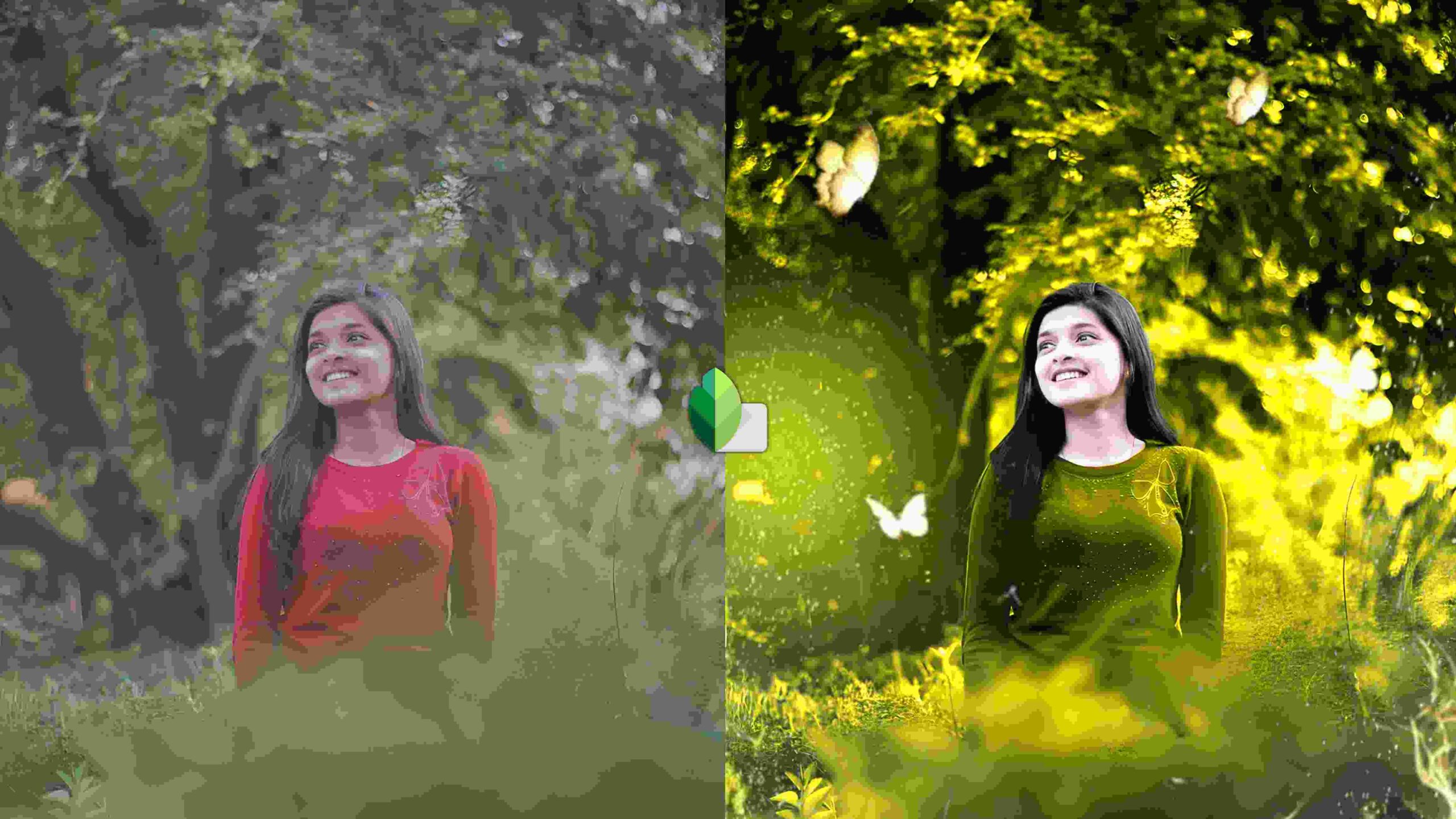 Snapseed Yellow Color Photo Editing Tricks | Snapseed Background Colour Change Tutorial