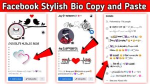 Facebook Stylish Bio Copy and Paste